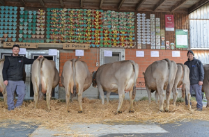 HP   Silvan Egli Patria